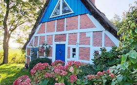 Die blaue Reetdachkate am Deich